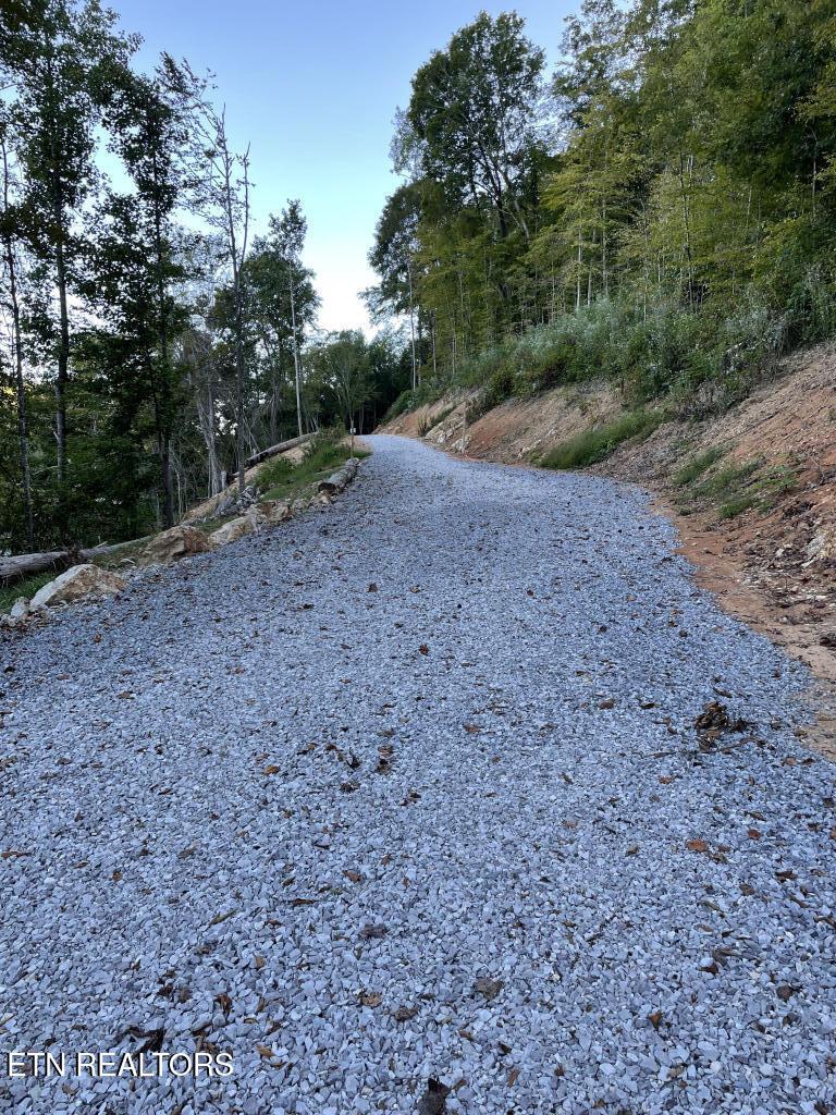 310 Jessee Rd, Maynardville, TN - Norris Lake Real Estate - Image# 9