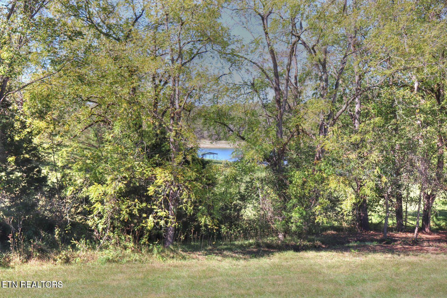 Lot 567 Russell Brothers Rd, Sharps Chapel, TN
