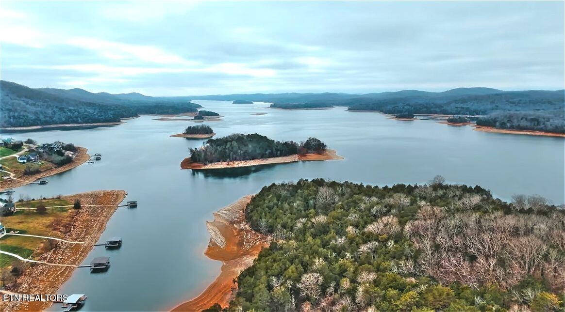 Lot 567 Russell Brothers Rd, Sharps Chapel, TN - Norris Lake Real Estate - Image# 5