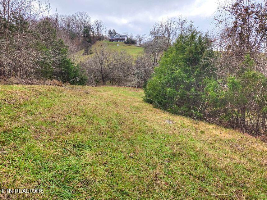 Lot 567 Russell Brothers Rd, Sharps Chapel, TN - Norris Lake Real Estate - Image# 13