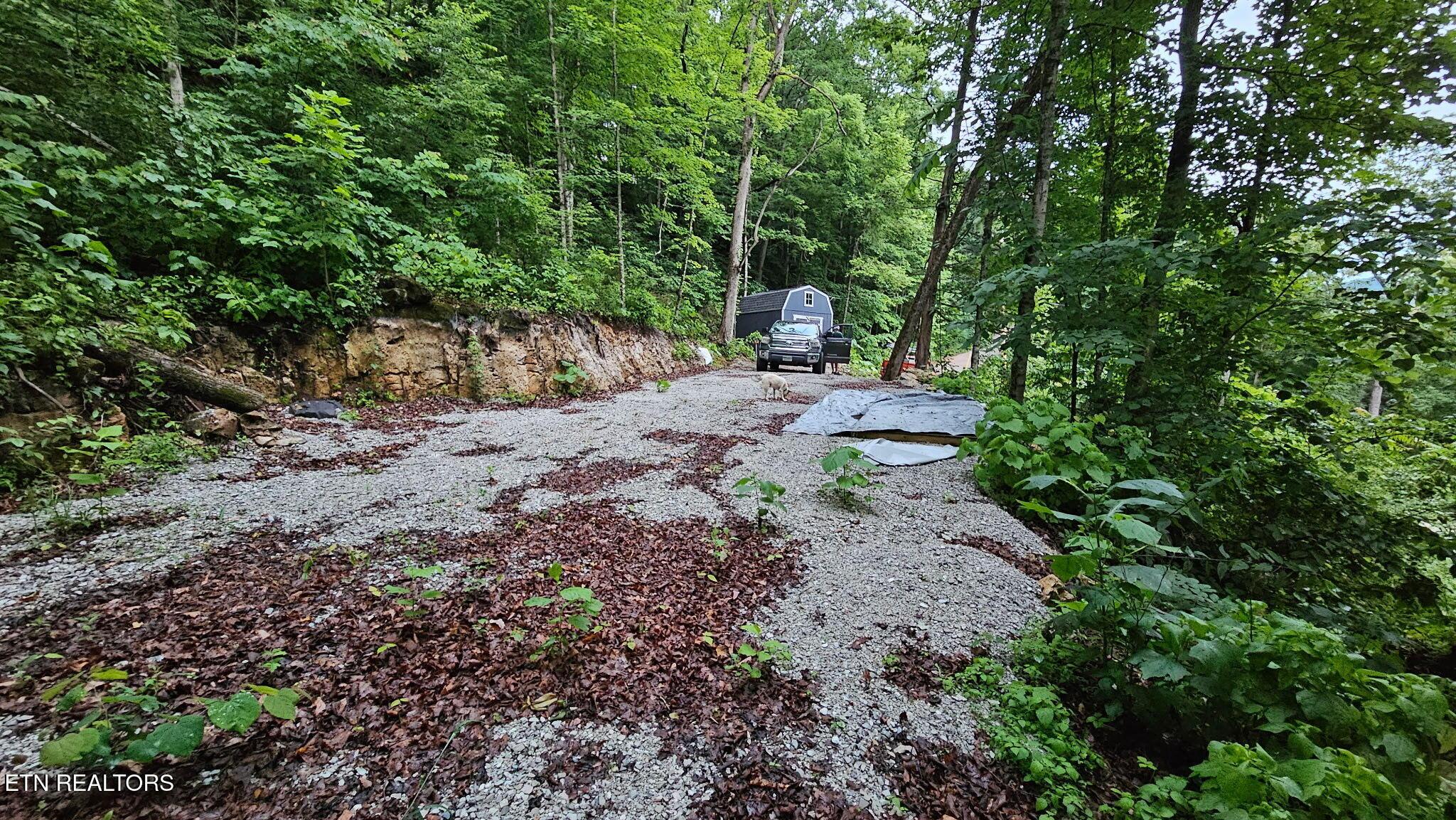 Norris Lake Real Estate - Image# 2