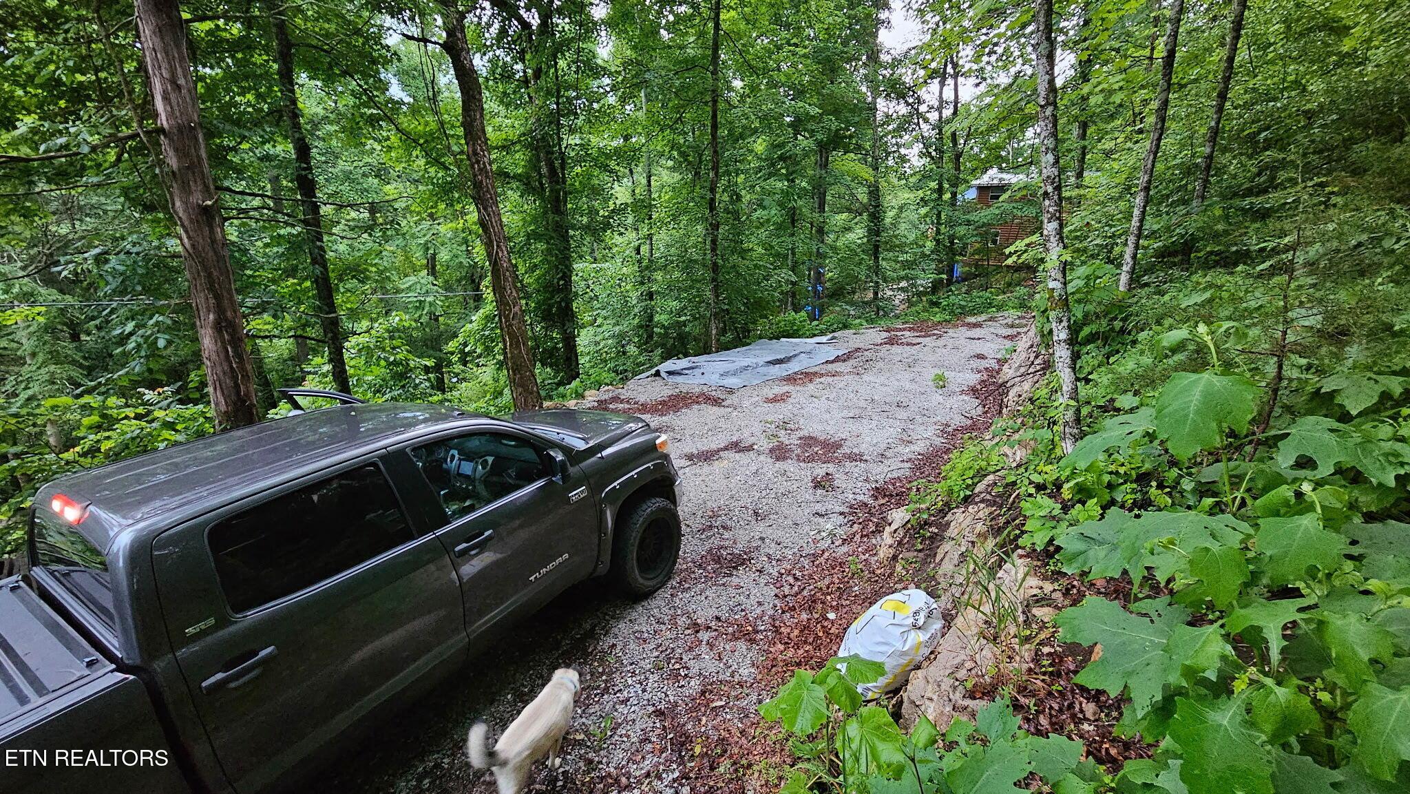 Norris Lake Real Estate - Image# 6