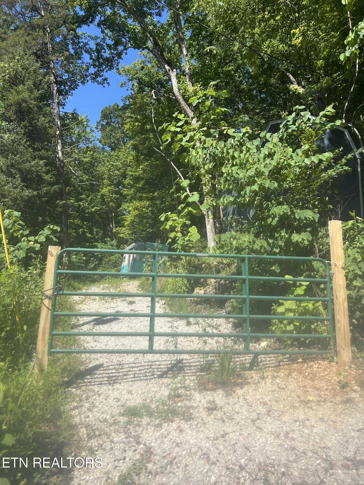 Norris Lake Real Estate - Image# 4