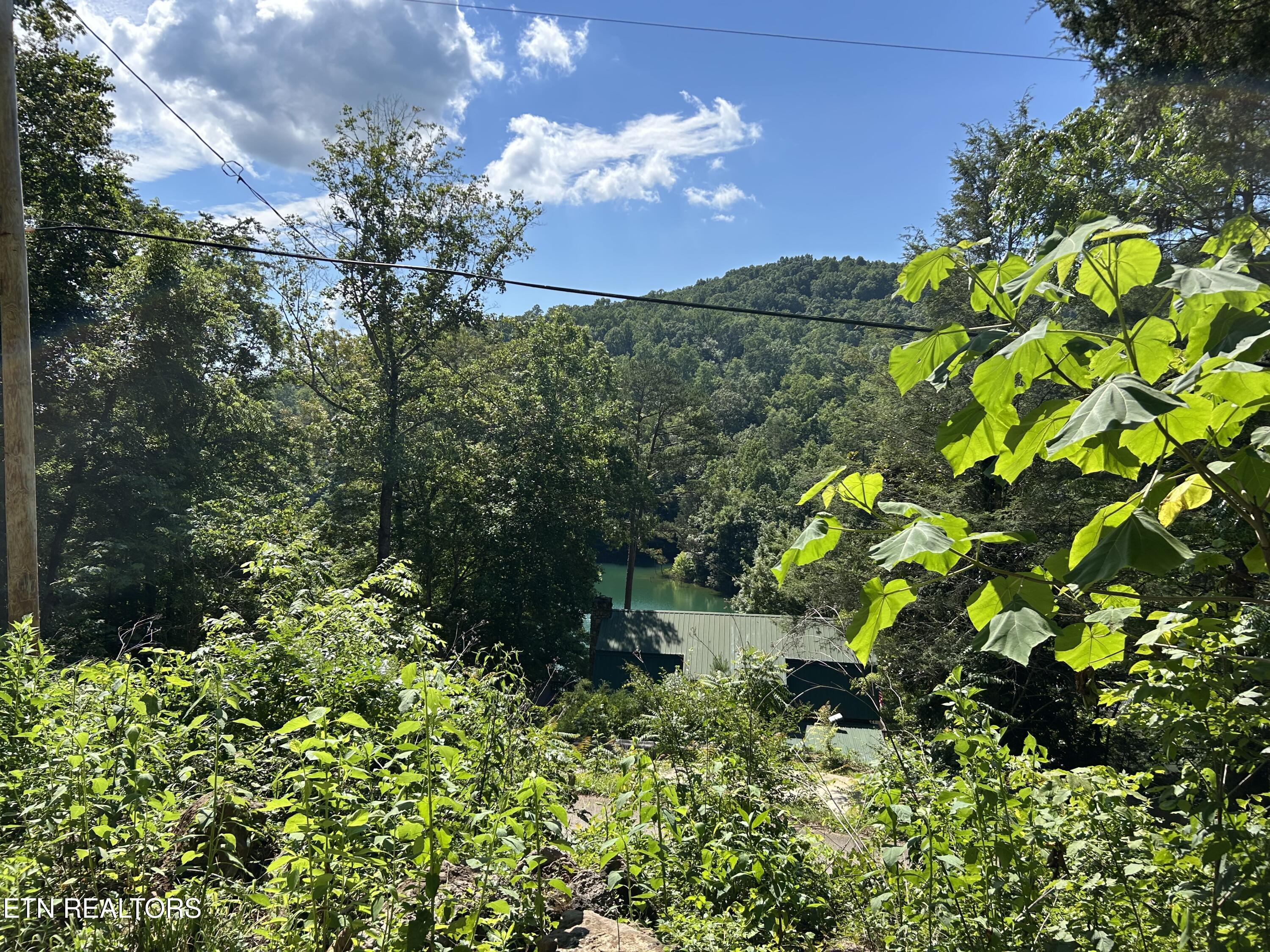 Norris Lake Real Estate - Image# 7