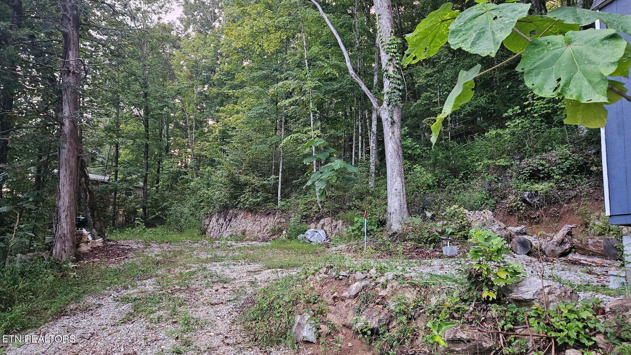 Norris Lake Real Estate - Image# 9