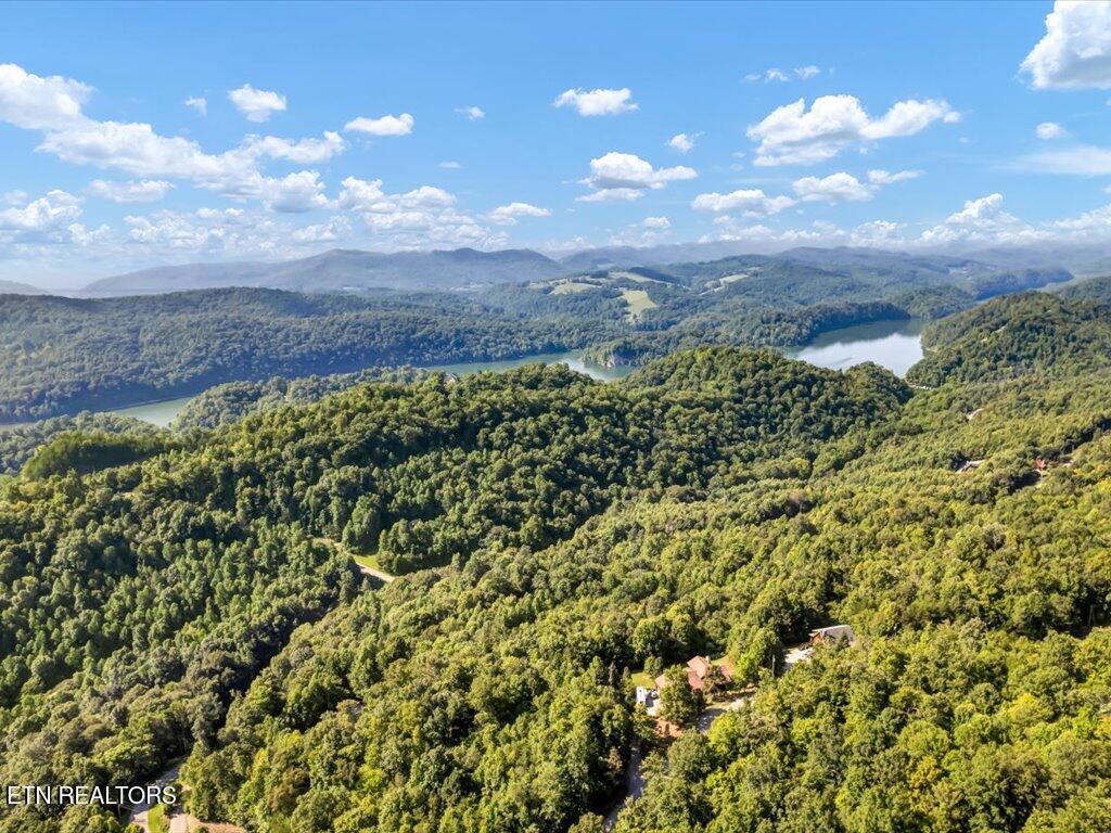 Lot 508 Hidden Springs Rd, New Tazewell, TN
