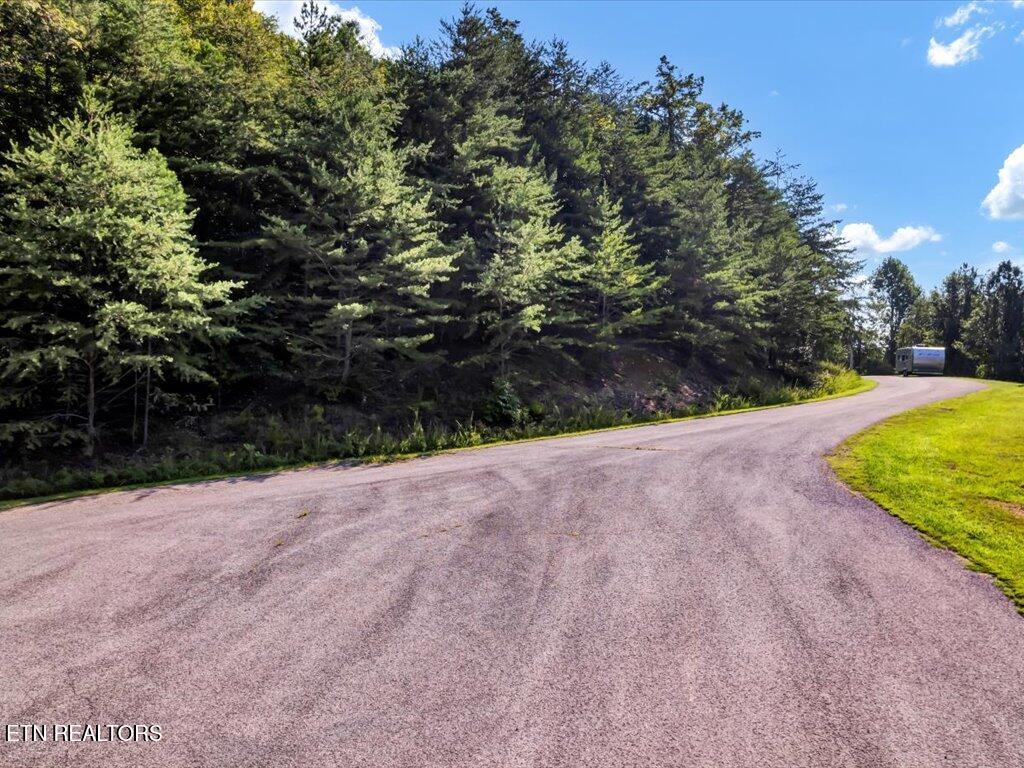 Norris Lake Real Estate - Image# 2