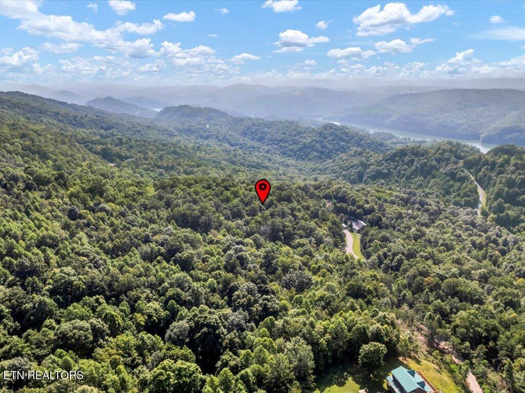 Norris Lake Real Estate - Image# 4