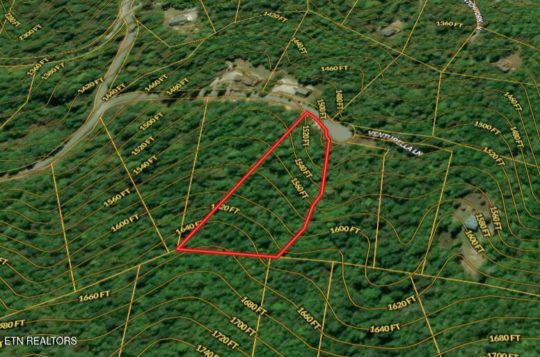 Norris Lake Real Estate - Image# 6