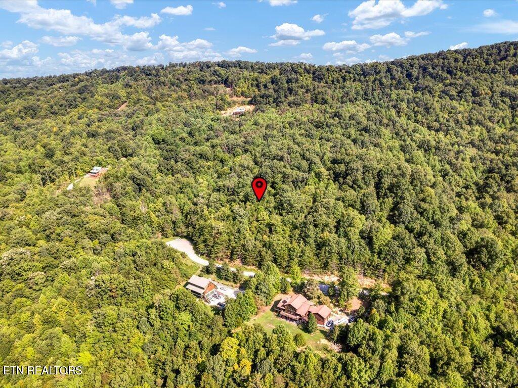 Norris Lake Real Estate - Image# 9