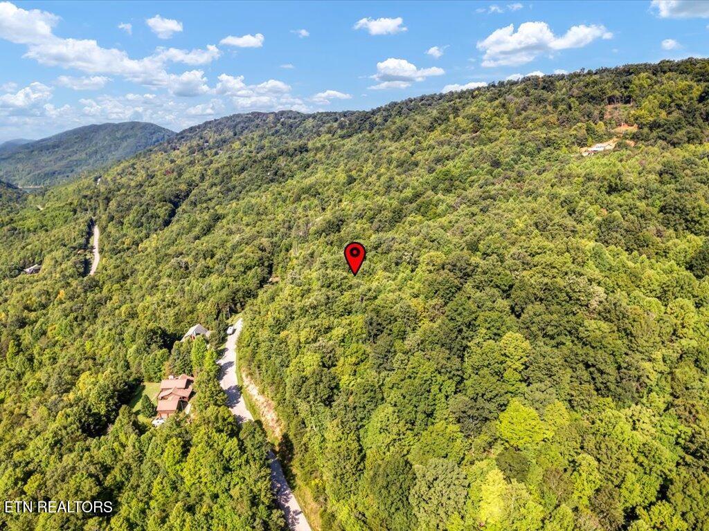 Norris Lake Real Estate - Image# 10