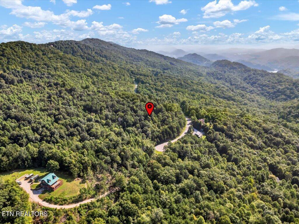Norris Lake Real Estate - Image# 11