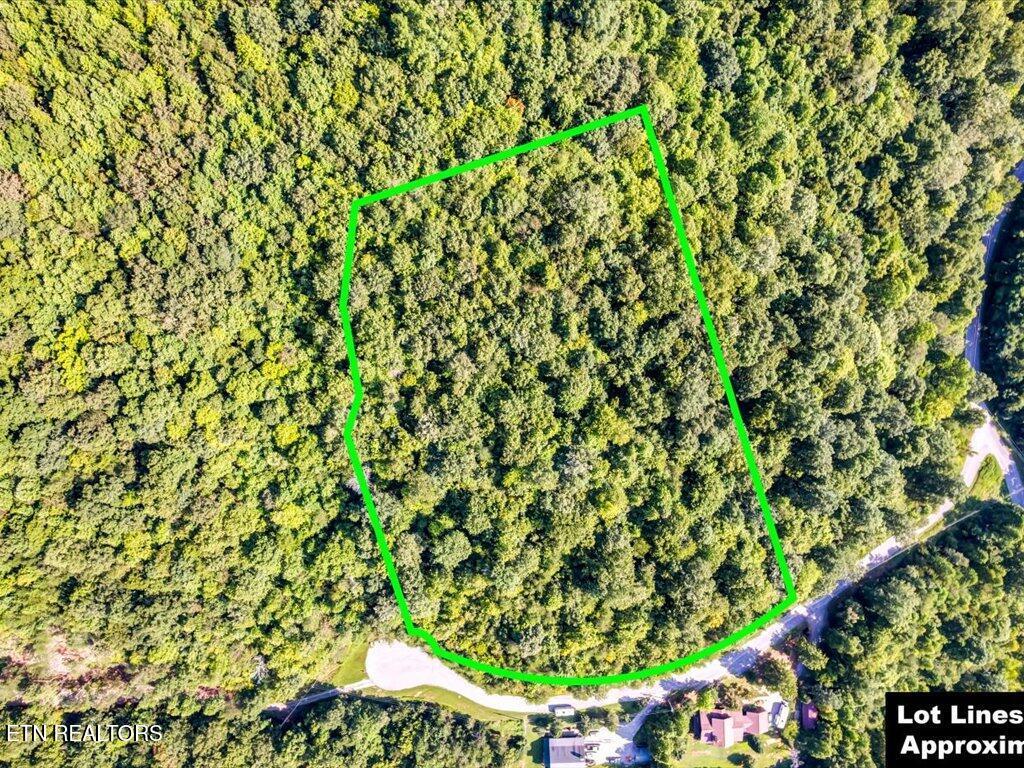 Norris Lake Real Estate - Image# 13