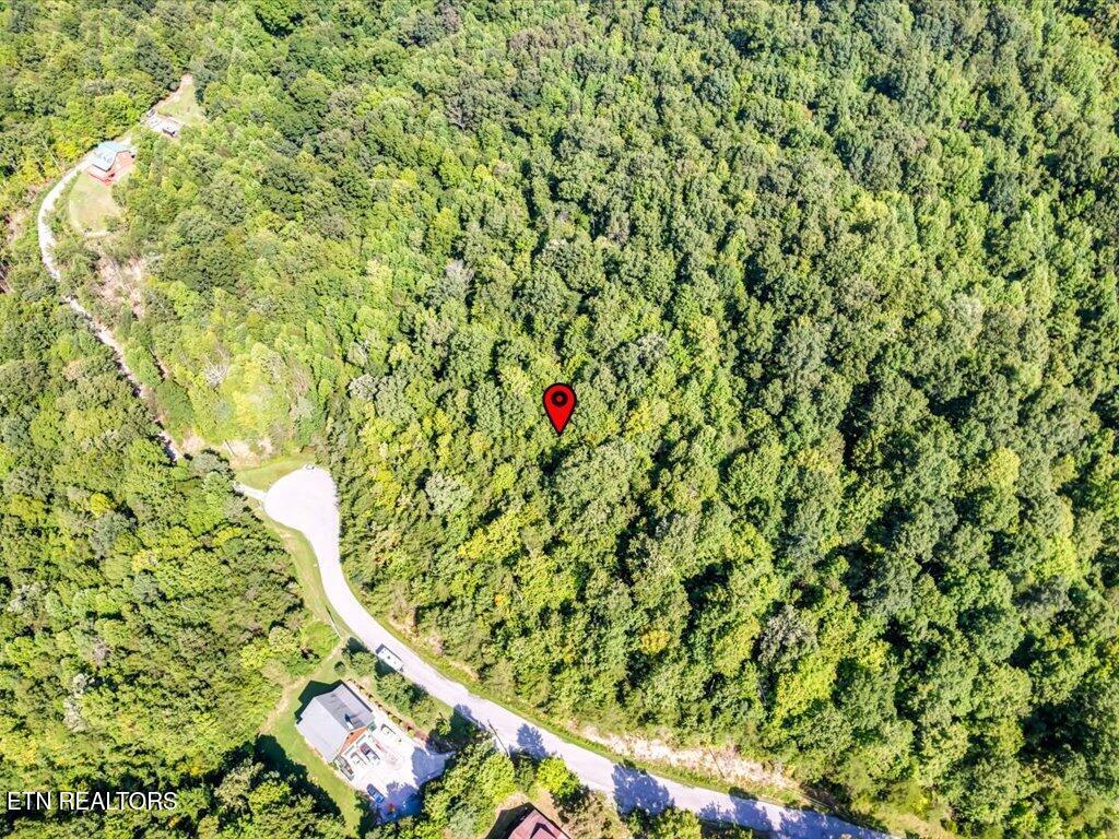 Norris Lake Real Estate - Image# 15