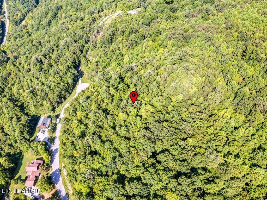 Norris Lake Real Estate - Image# 16