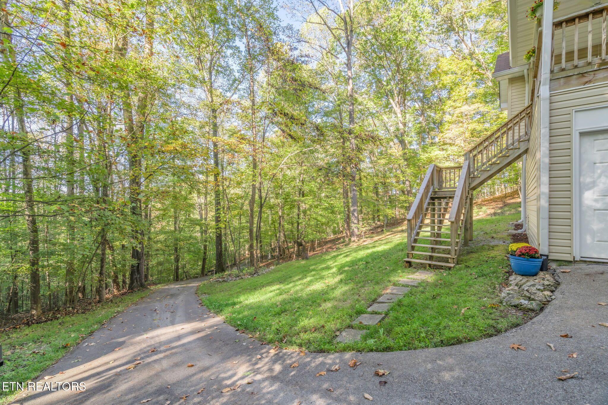 Norris Lake Real Estate - Image# 5