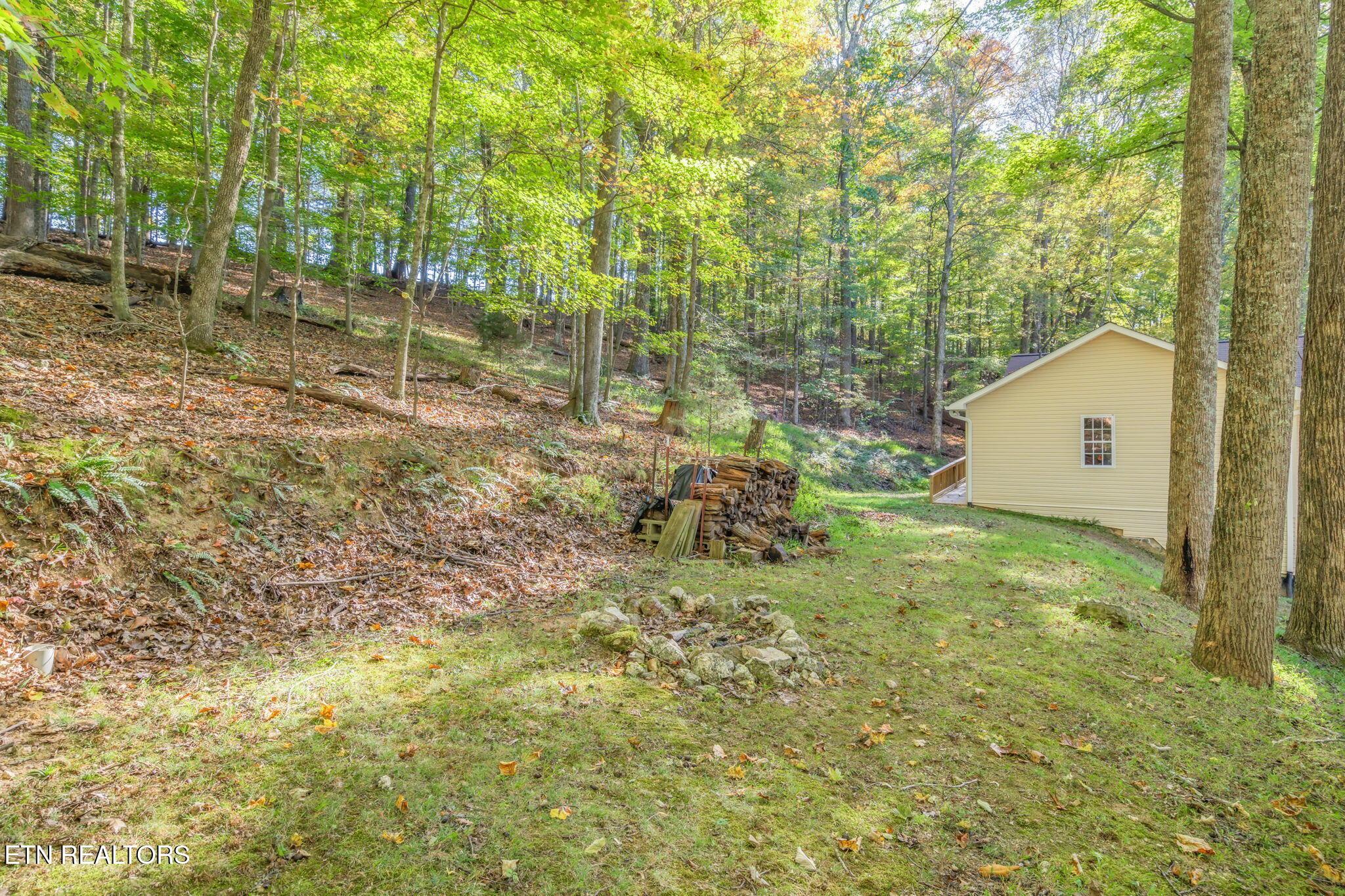Norris Lake Real Estate - Image# 8