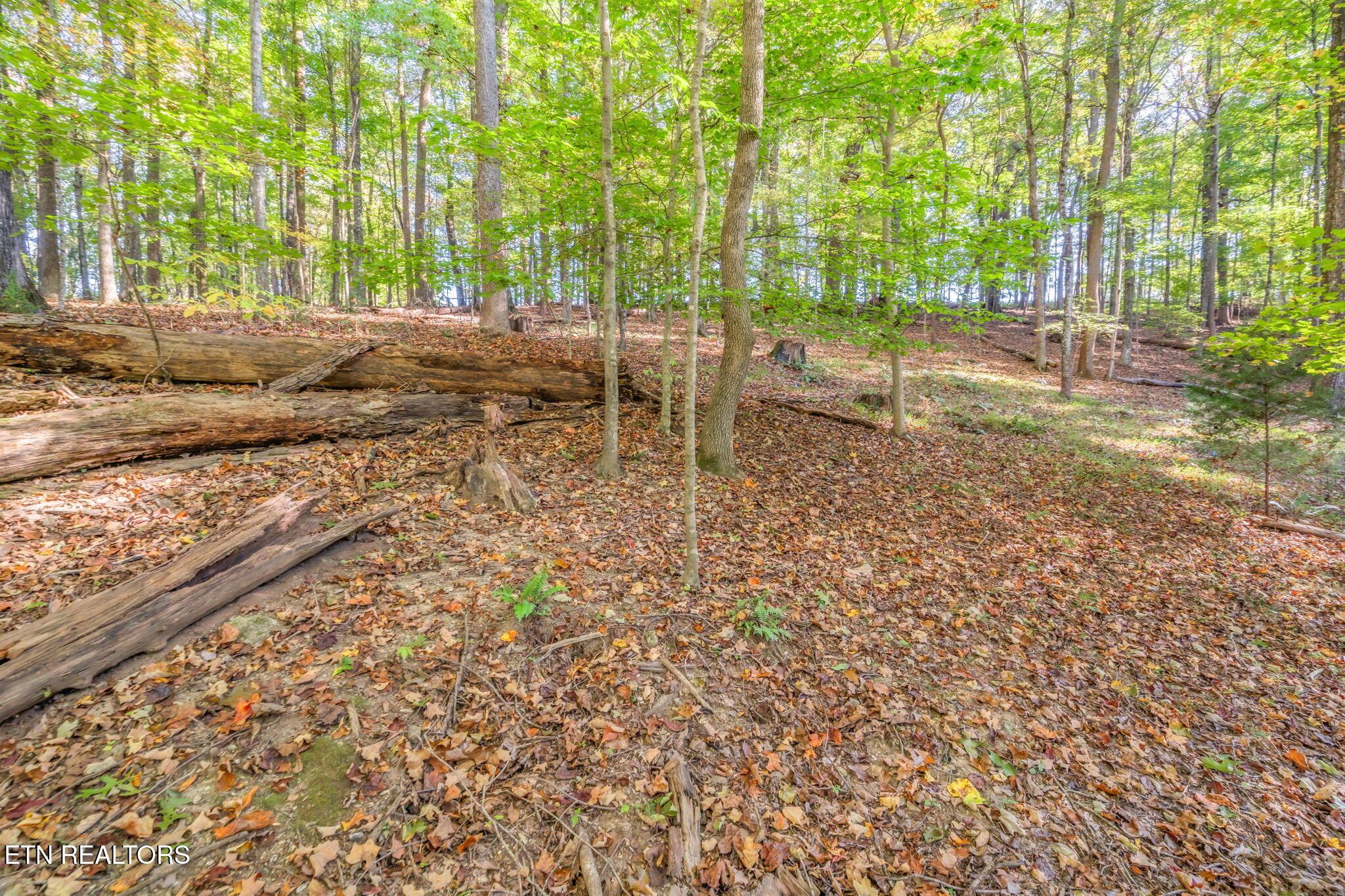 Norris Lake Real Estate - Image# 48
