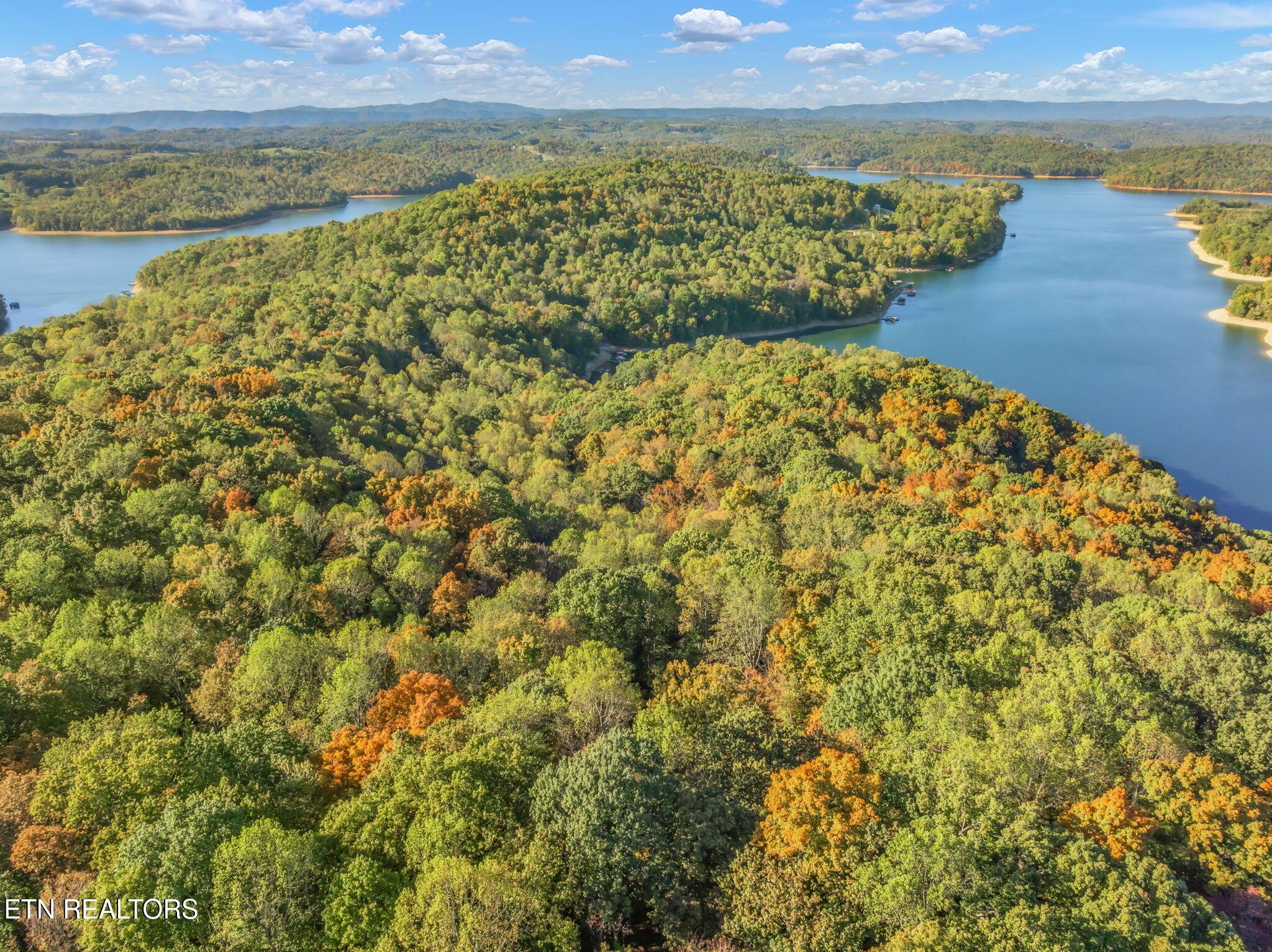 Norris Lake Real Estate - Image# 43