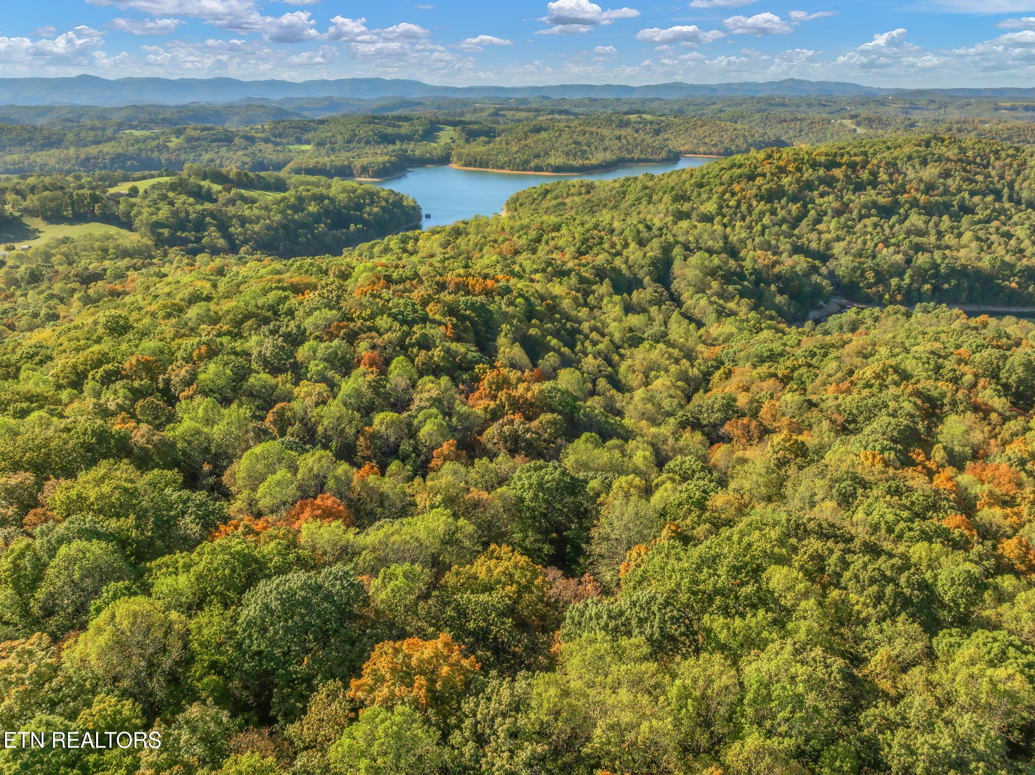 Norris Lake Real Estate - Image# 44