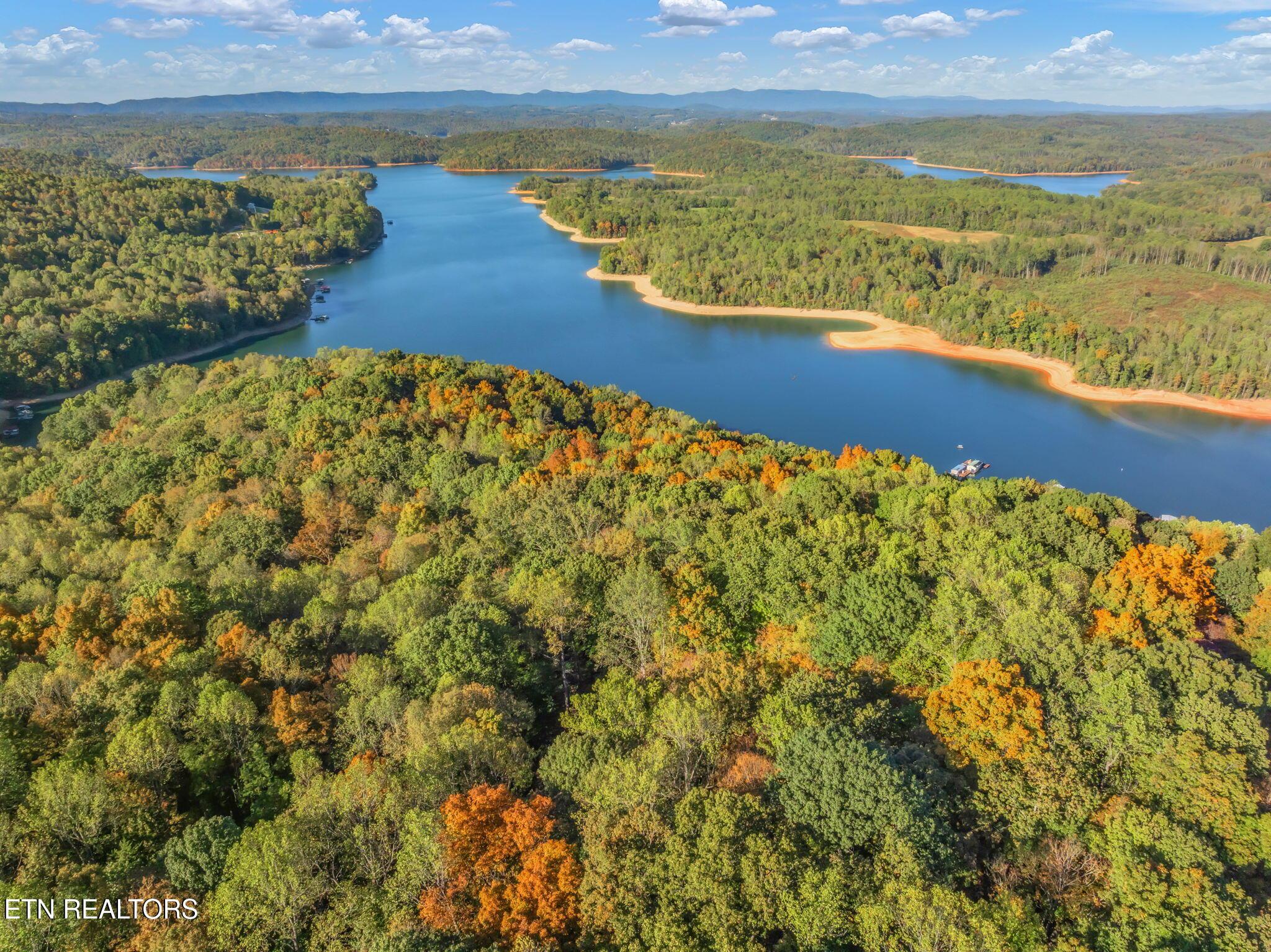 Norris Lake Real Estate - Image# 45
