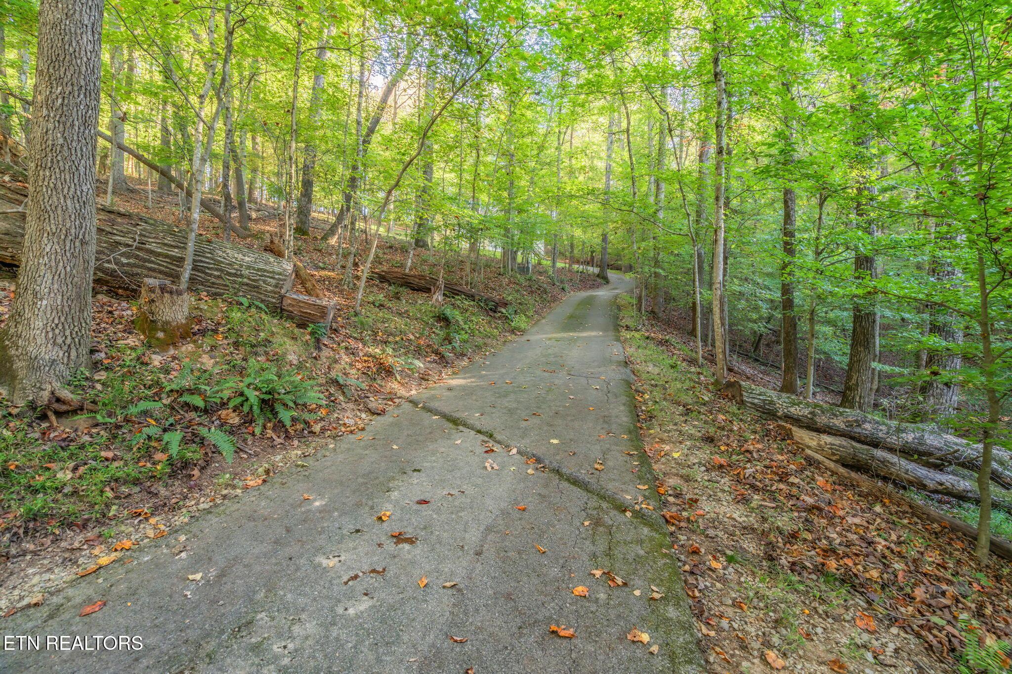 Norris Lake Real Estate - Image# 50
