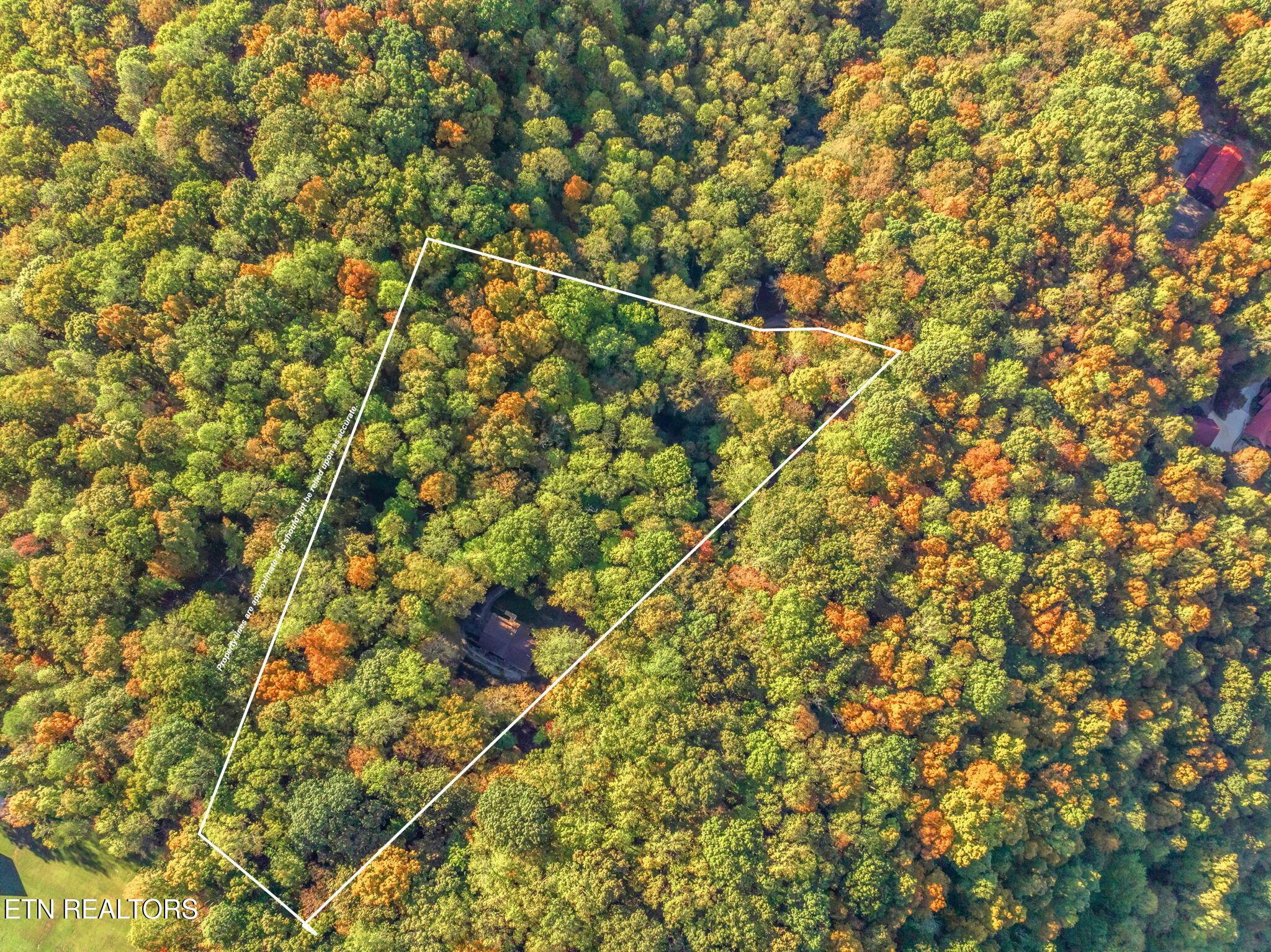 Norris Lake Real Estate - Image# 47