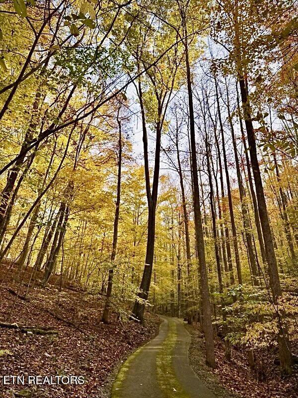 Norris Lake Real Estate - Image# 53