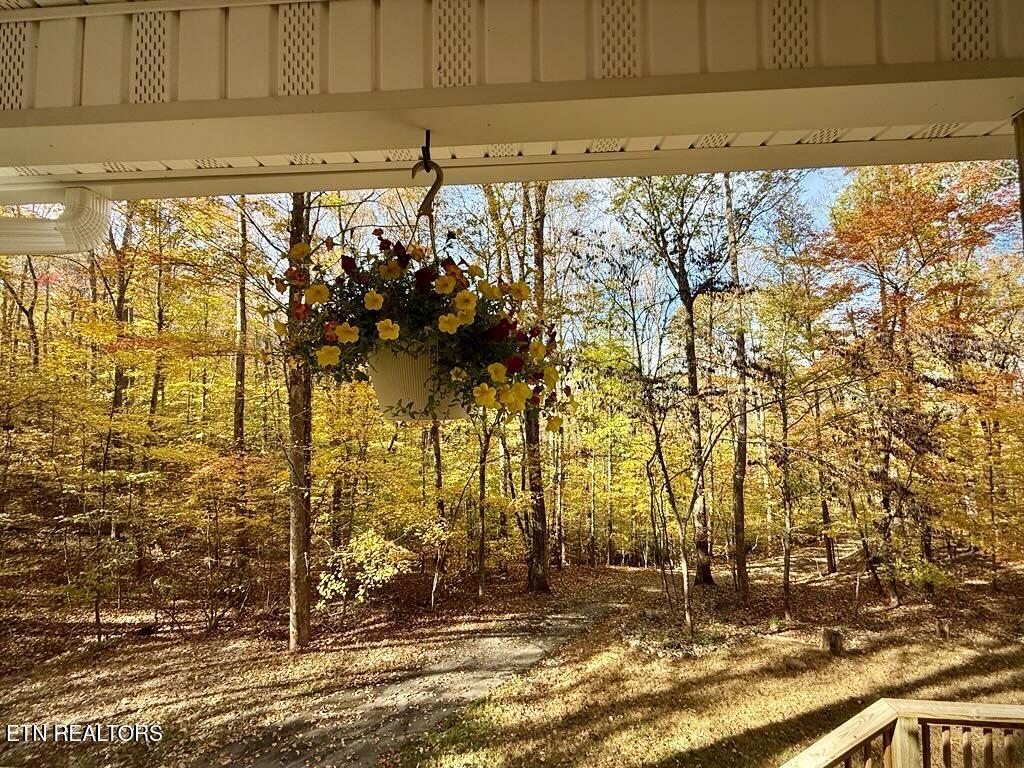 Norris Lake Real Estate - Image# 55