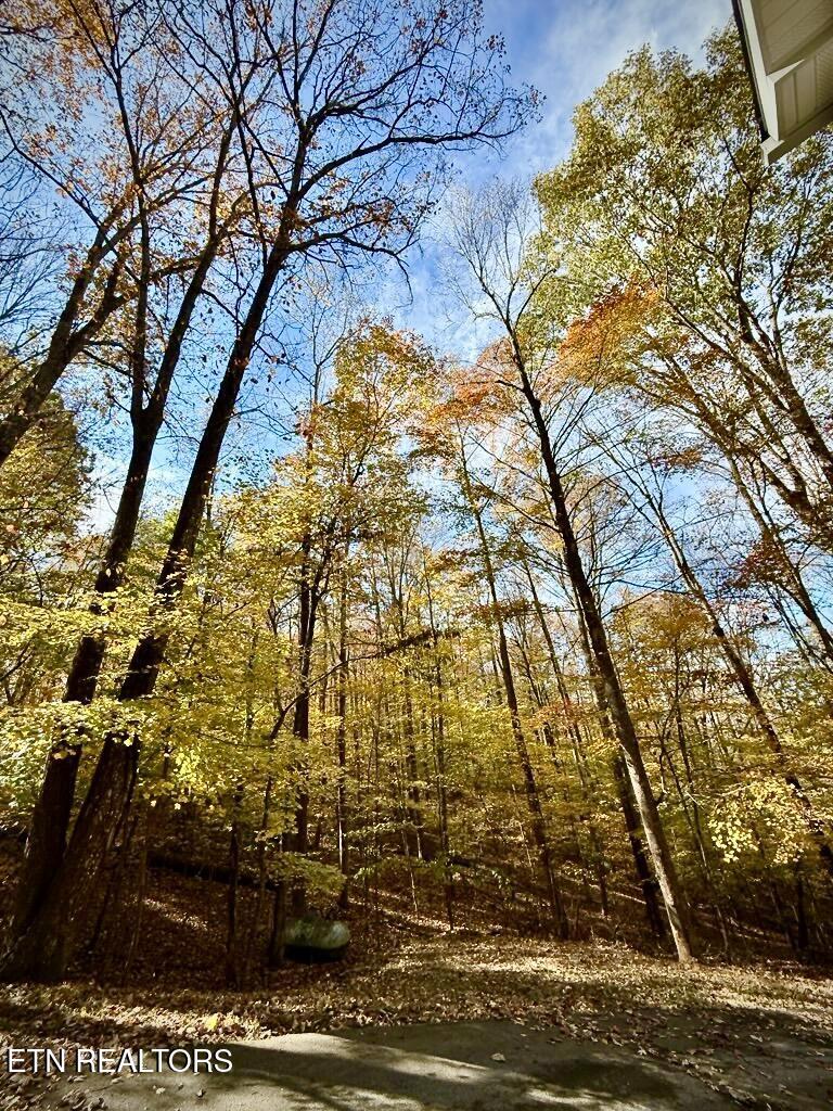 Norris Lake Real Estate - Image# 56