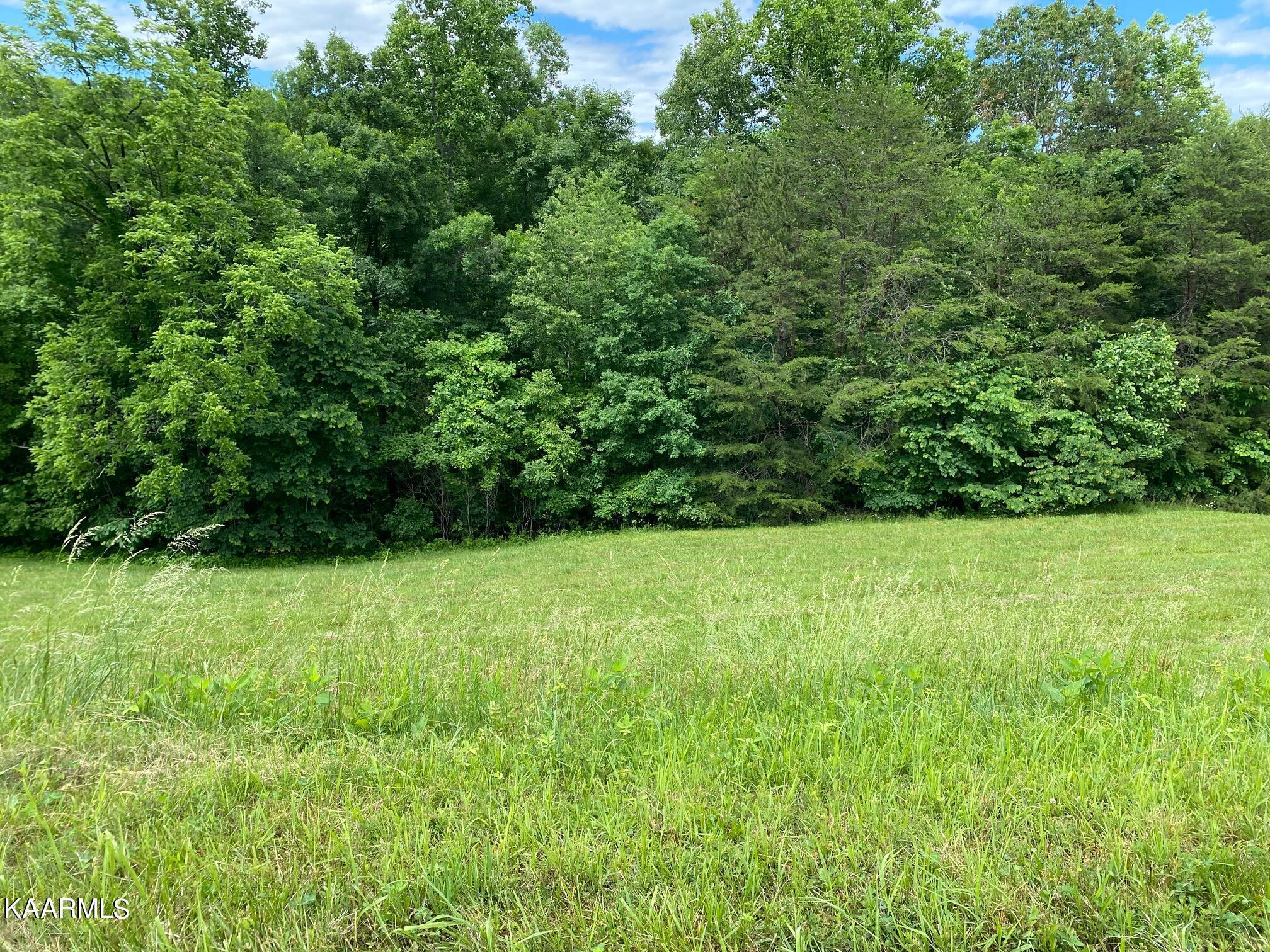 Lot 257 Marble Point Way, New Tazewell, TN