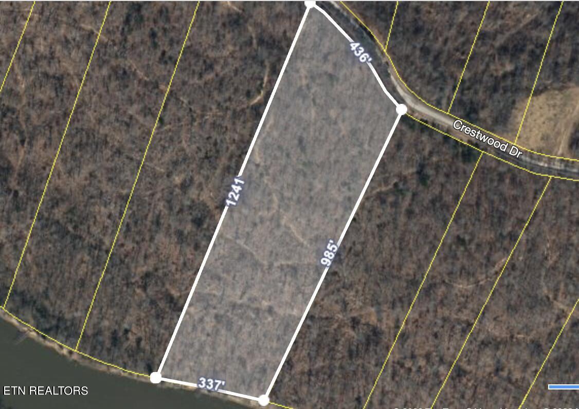 Various Towncreek Dr, Speedwell, TN - Norris Lake Real Estate - Image# 20
