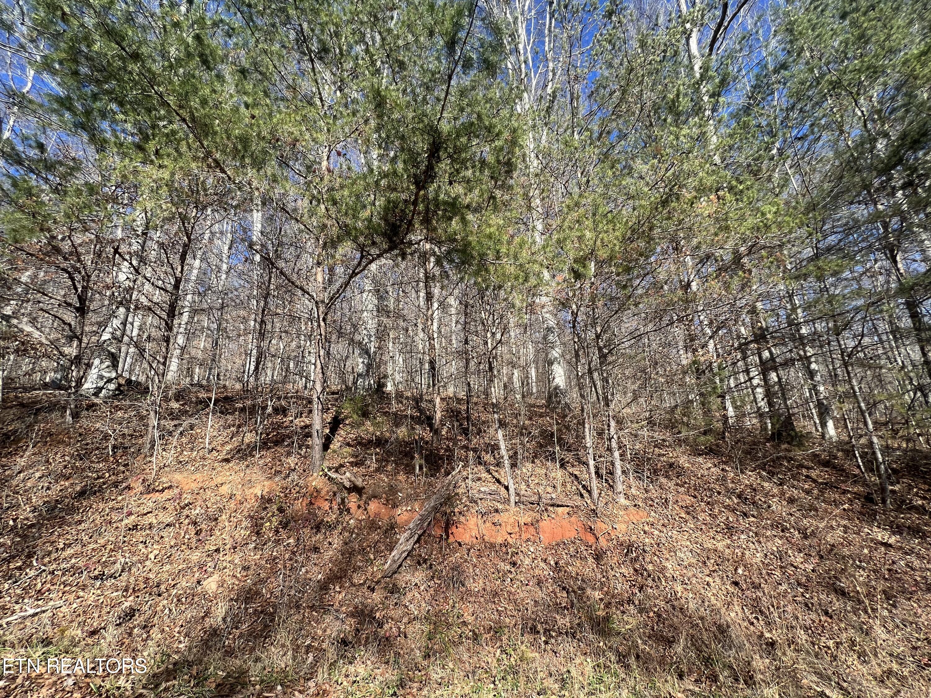 lot 9 Jones Ridge Rd, Speedwell, TN