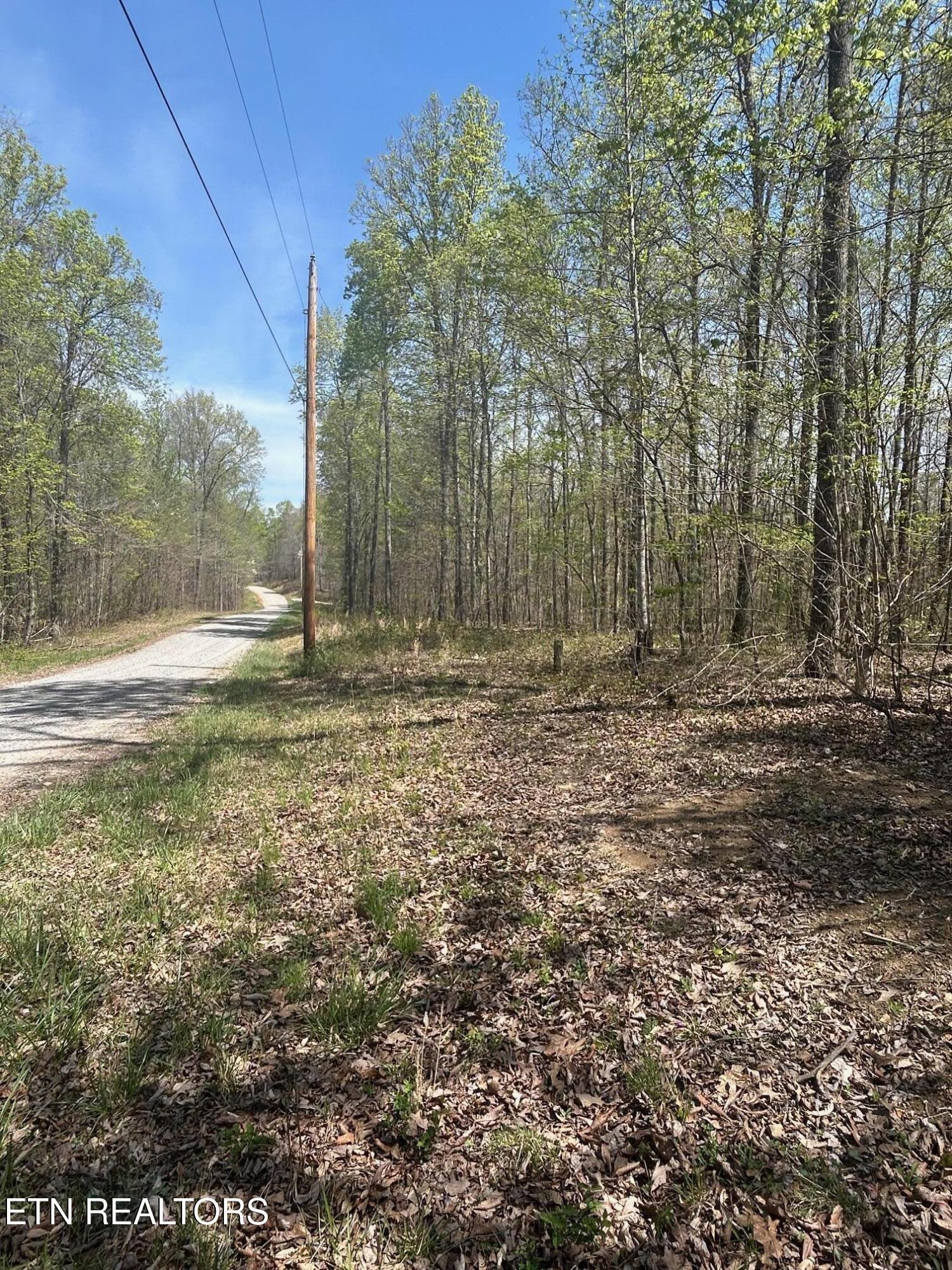 Norris Lake Real Estate - Image# 12