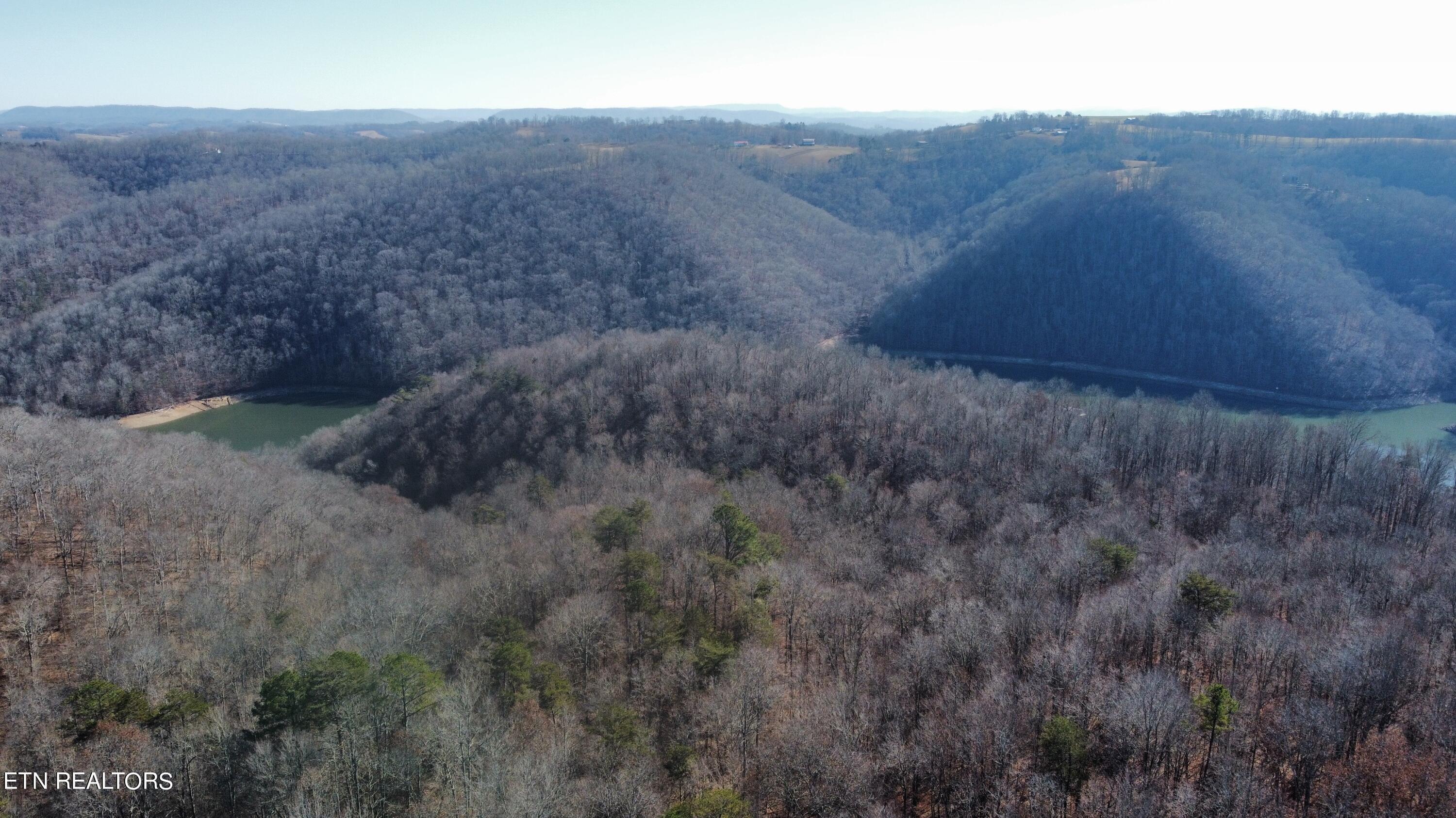 Norris Lake Real Estate - Image# 3