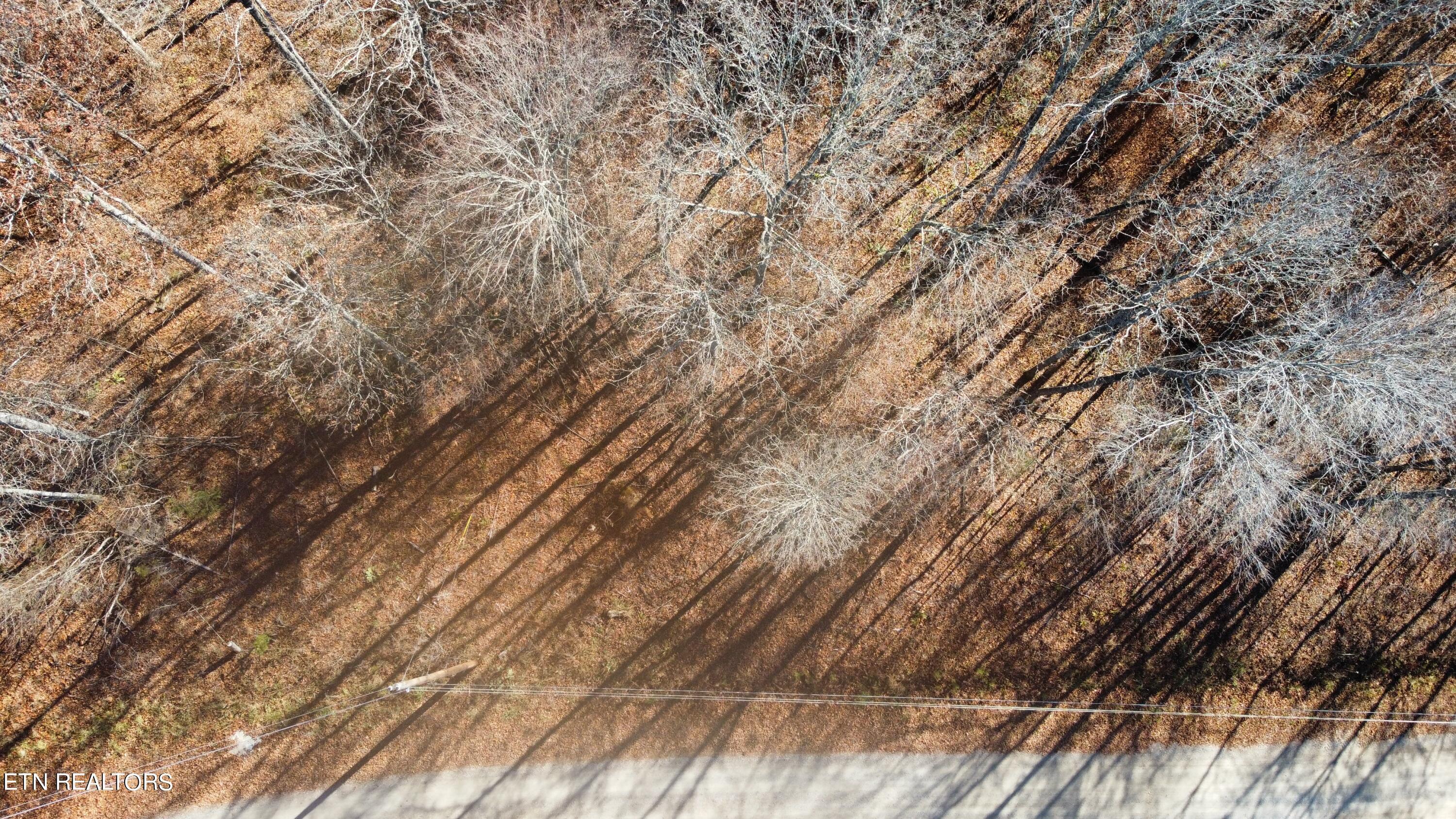Norris Lake Real Estate - Image# 2