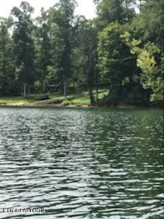 Norris Lake Real Estate - Image# 5