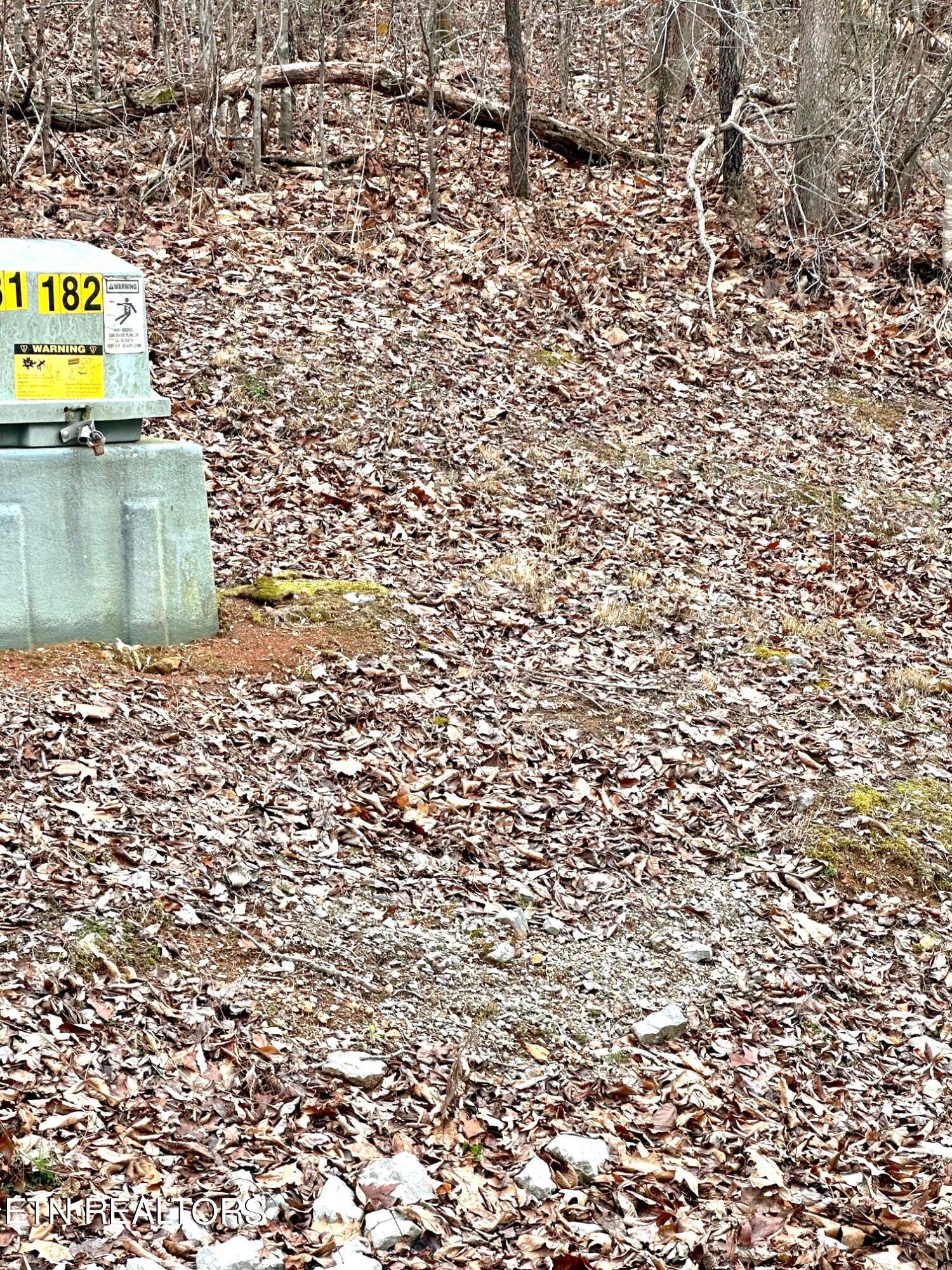 Norris Lake Real Estate - Image# 4