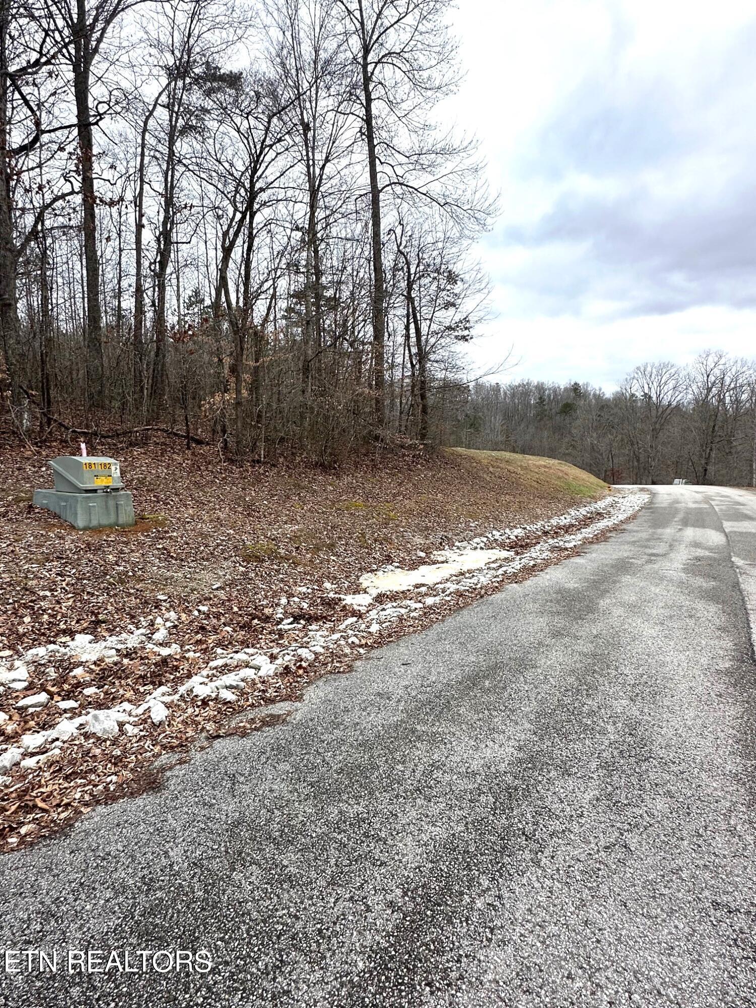 Norris Lake Real Estate - Image# 3