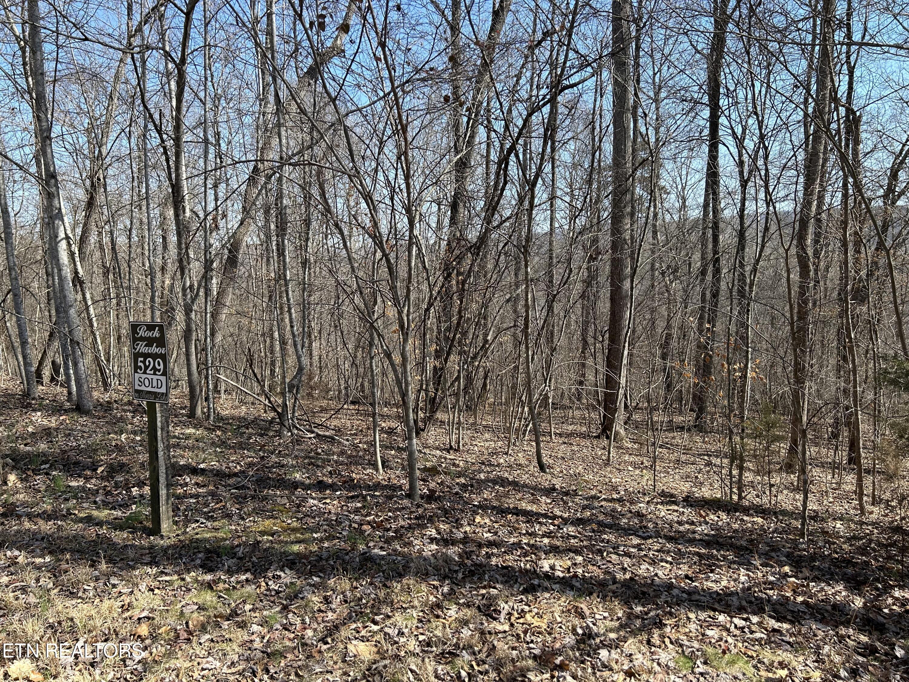 Lot 529 Garnet Trail Tr, New Tazewell, TN