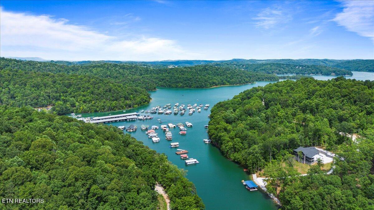 Norris Lake Real Estate - Image# 16