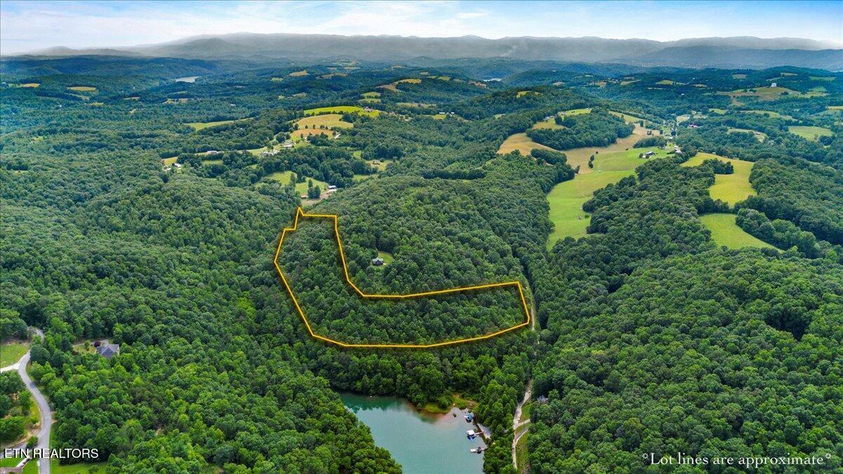 Norris Lake Real Estate - Image# 3