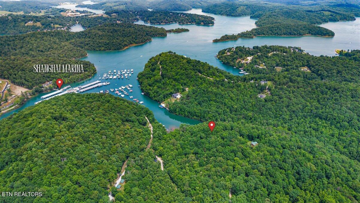 Norris Lake Real Estate - Image# 2
