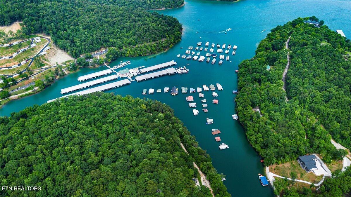 Norris Lake Real Estate - Image# 17