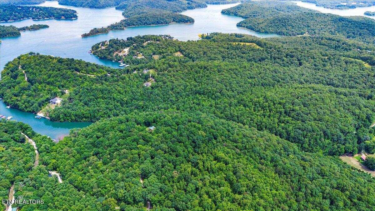 Norris Lake Real Estate - Image# 14
