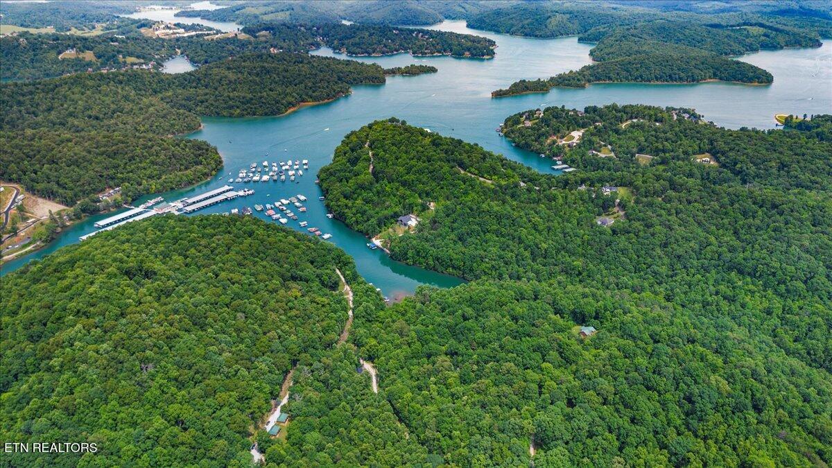Norris Lake Real Estate - Image# 12