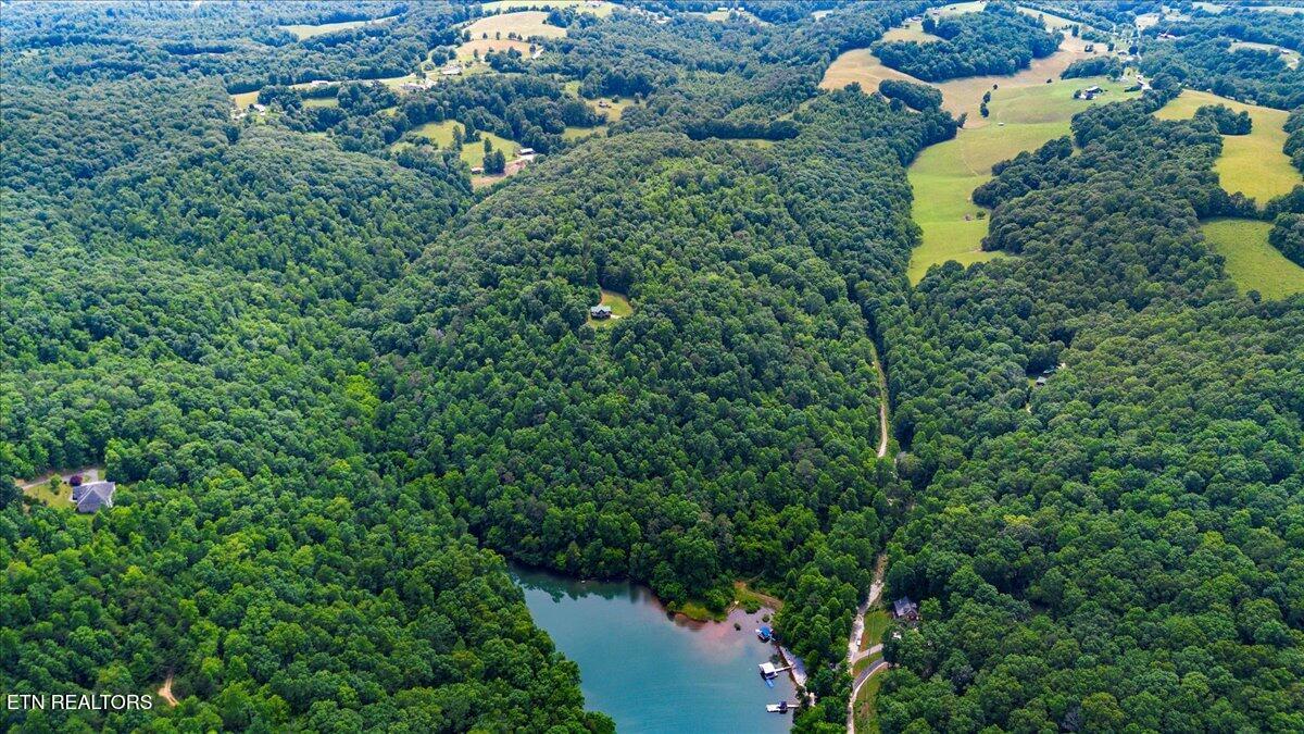 Norris Lake Real Estate - Image# 19