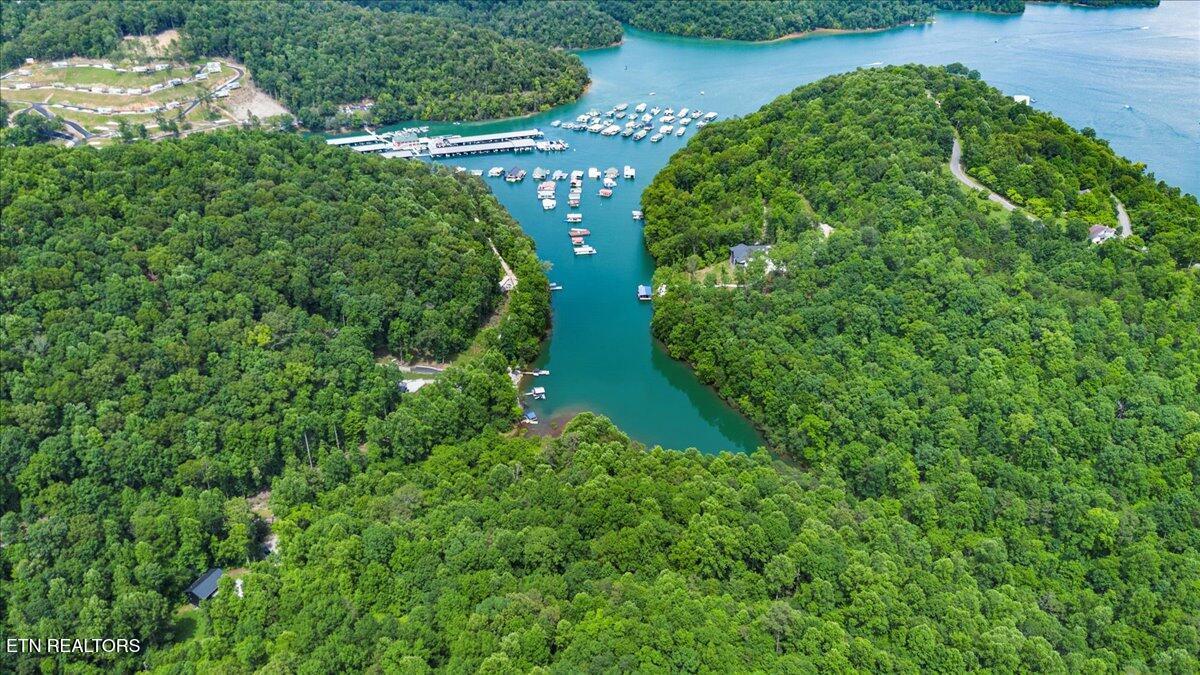 Norris Lake Real Estate - Image# 11