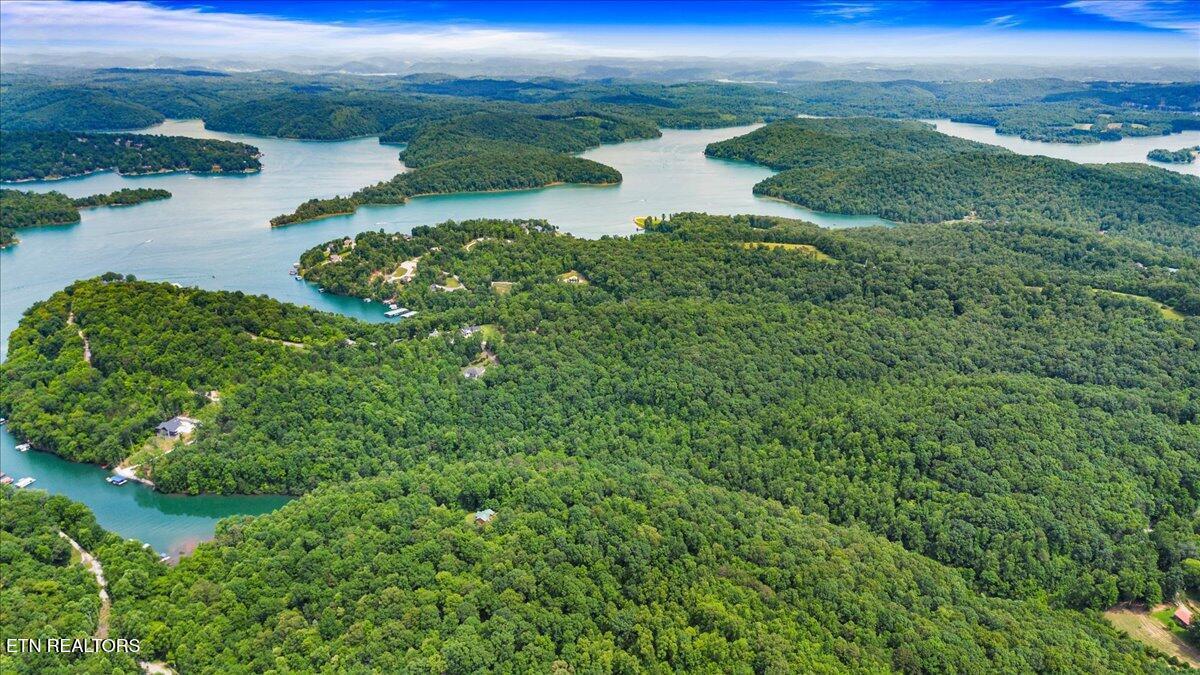 Norris Lake Real Estate - Image# 15