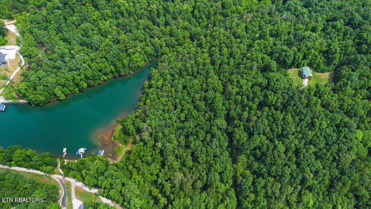 Norris Lake Real Estate - Image# 4